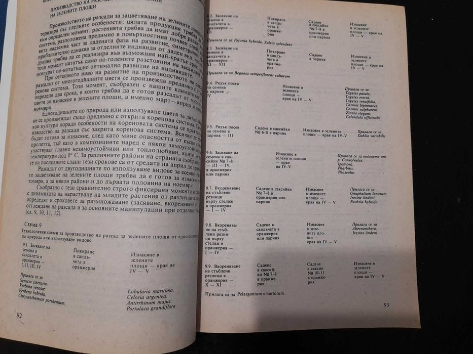 Книга Цветарство Елена Щилянова