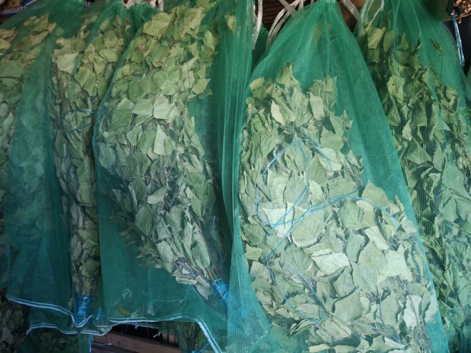 Веники берёзовые