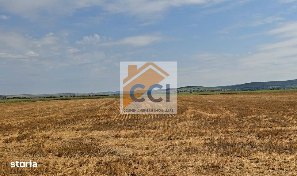 Teren intravilan– 50.000 mp, Bacău, Șoseaua Hol
