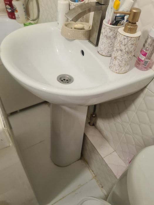 Продам тюльпан с раковиной