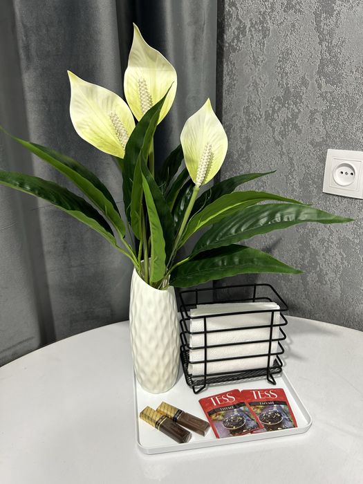 Аренда квартиры посуточно