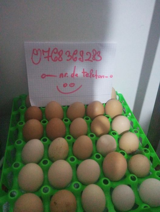 VAND OUĂ  de țară