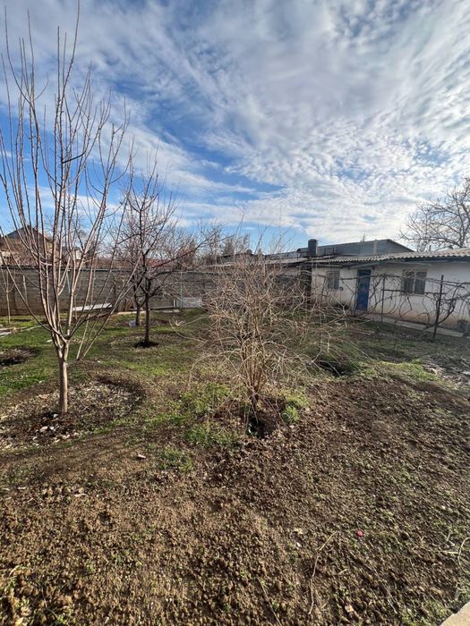 Продается своя дача в Бостанлыкском районе