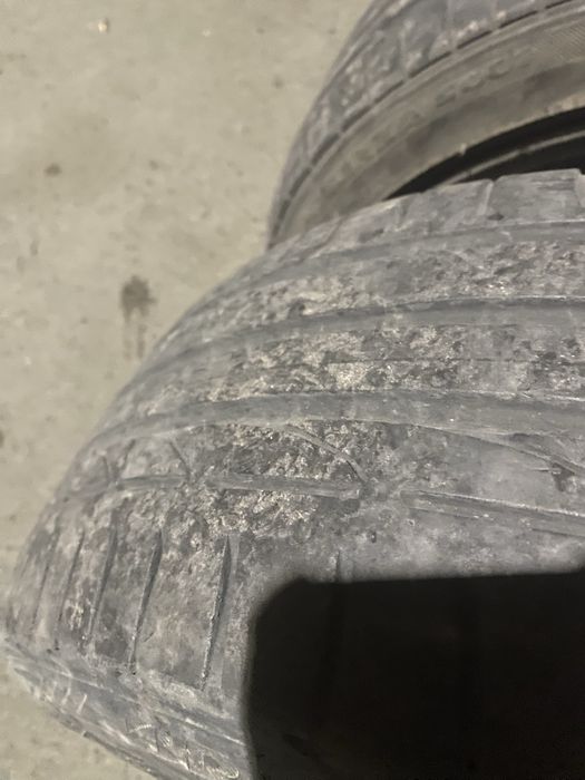 Торус 17 сатылады