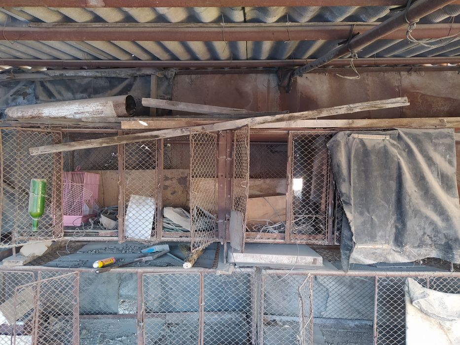 Вольеры для кроликов