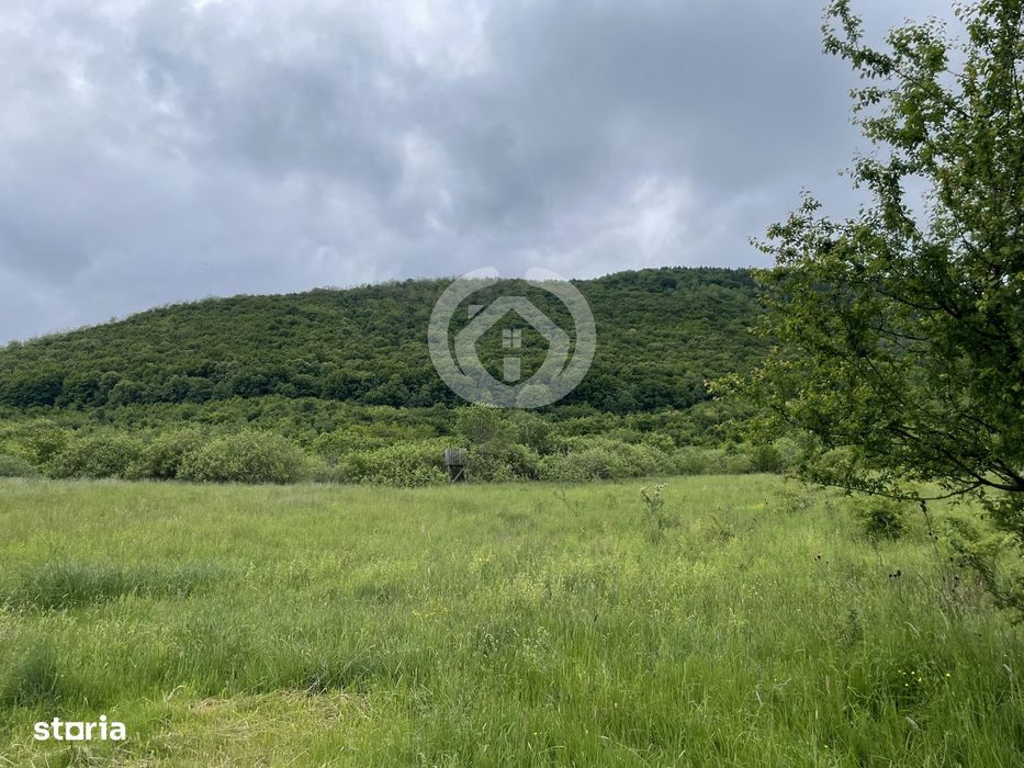 Teren extravilan de vanzare – Poplaca, Sibiu | 650 mp
