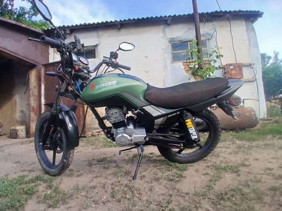 Рейсер      тигр