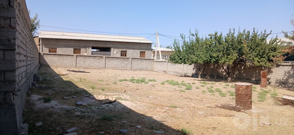 Yer sotiladi nazarbek tarnov riprom kocha 8 sotok 20×40 tarsavoyda