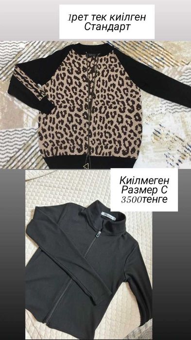 Пиджак тағы басқа киімдер