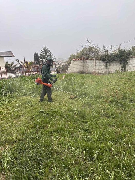 Косене на високи и ниски треви, поддръжка на градини, изграждане