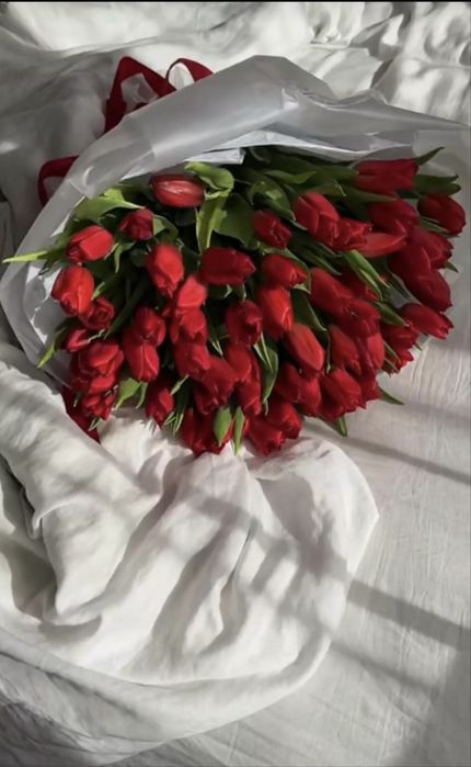 Оптом Голландские тюльпаны с теплицы