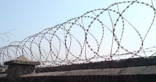 Проволока Егоза (BRUNO sim)