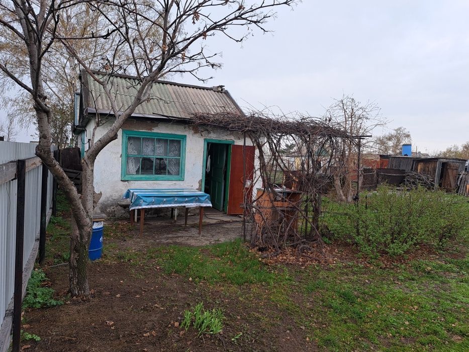 Продам дачу сад яблонька .