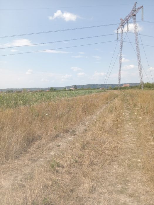 Teren în Osorhei