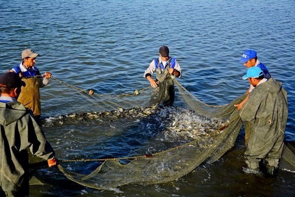 ПОЛУКОМБИНЕЗОН АЗЛК ВОДОЛАЗКА для рыбаков и рыбных хозяйство