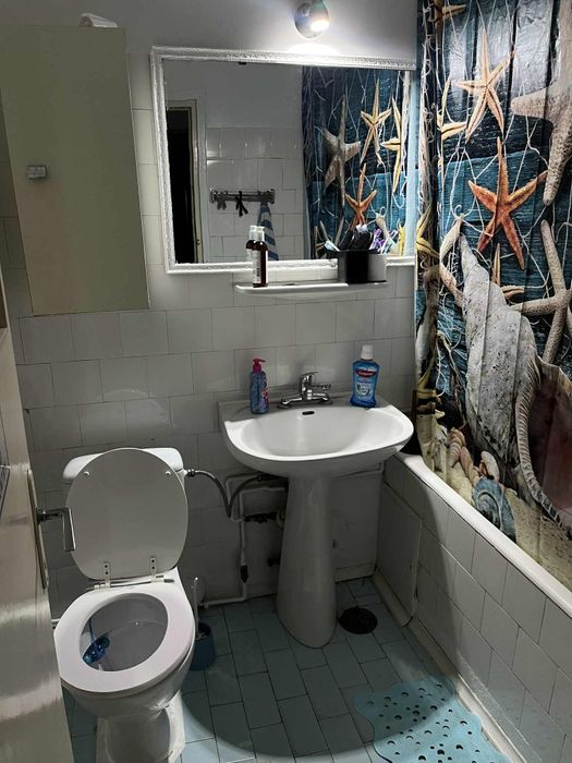 Camera chirie Pallas