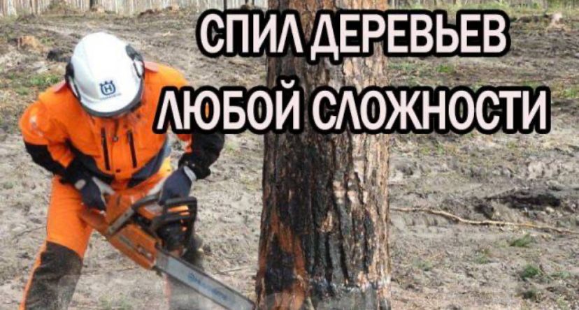 Спил деревьев чистка участка