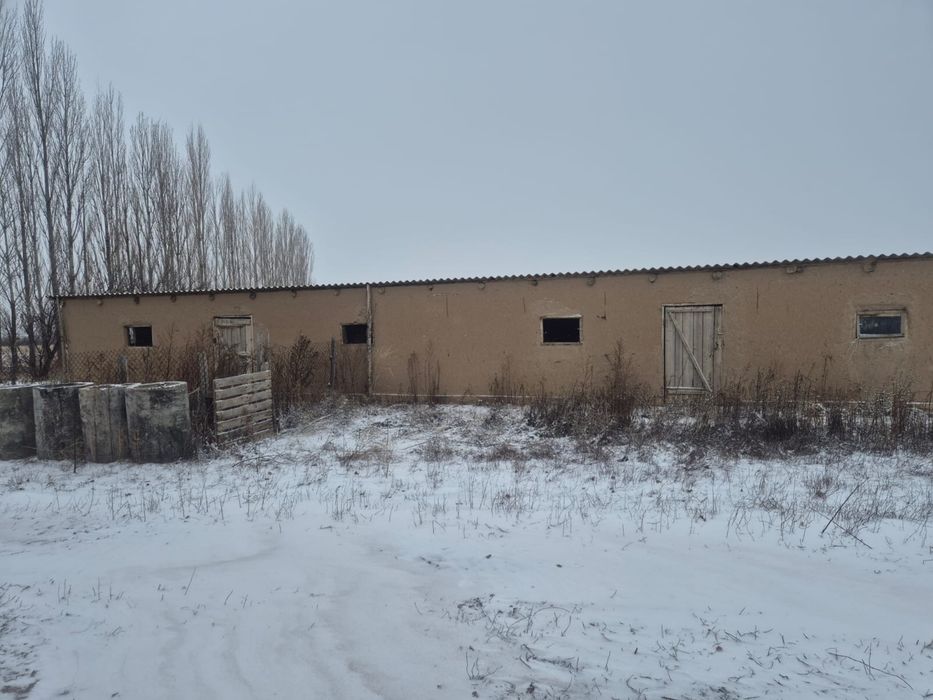 Фазенда 36 гектаров