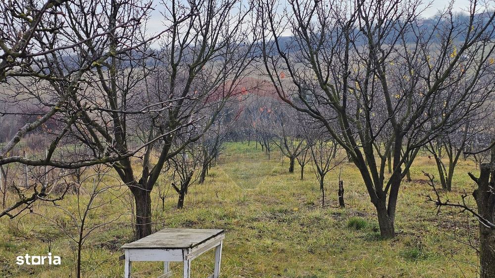 Teren extravilan 10,791mp Falticeni / Strada DJ209A, Opriseni