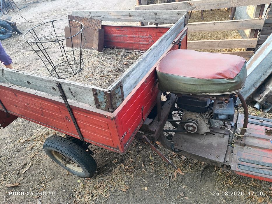 Продам муравей 200  тысяч тенге