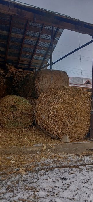 Vând baloti de paie,coceni, fân ,lucernă