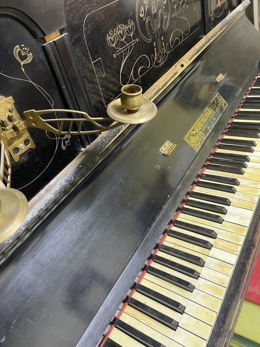 Pianina austriaca 1920