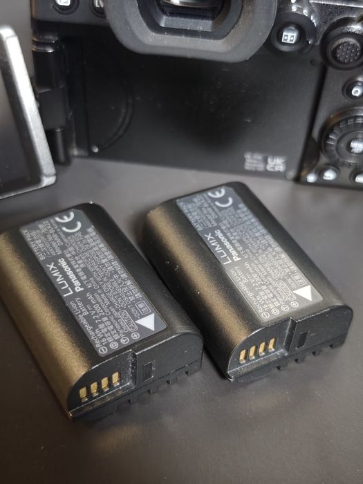 Panasonic Lumix S5 II + Sigma 24-70mm f/2.8 DG DN Art - Leica L