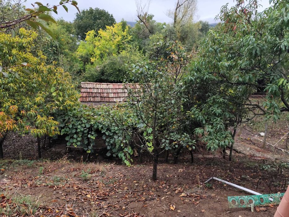 Продава се Къща в Търговище, Изток 1 - 50 кв.м за 714 €/кв.м - Снимка #2