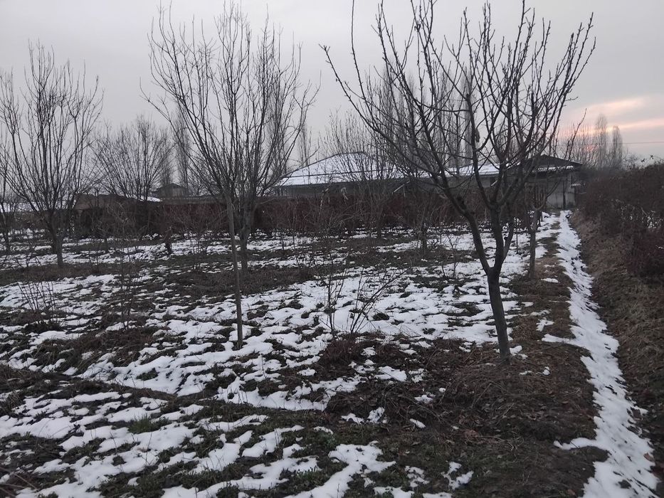 Yer uchaska sotiladi