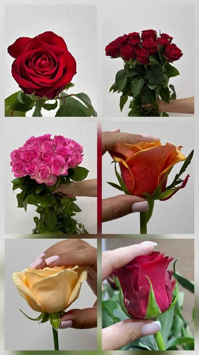 Розы по Акции на 8 марта