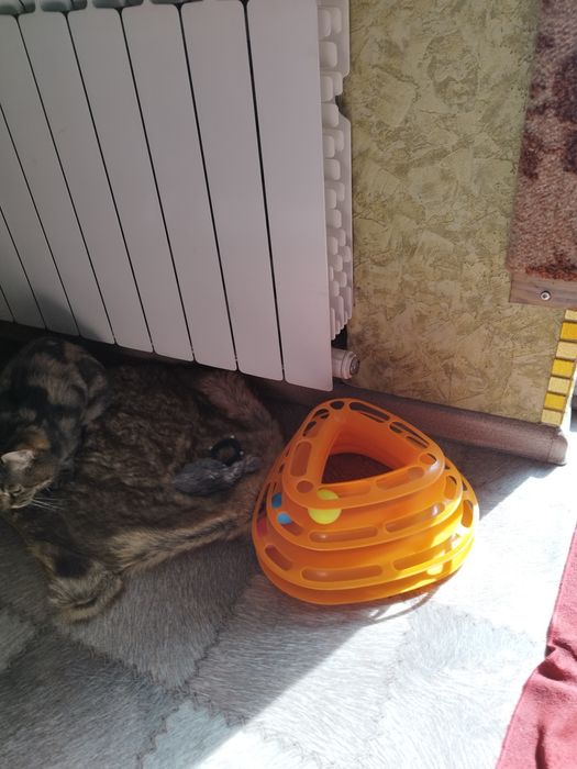 Продам игрушку для кошки