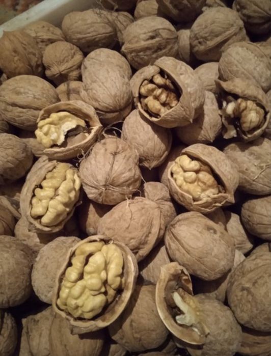 Гречецки орех 500тг кг