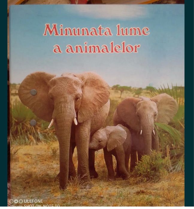 6 closare Minunata lume a animalelor