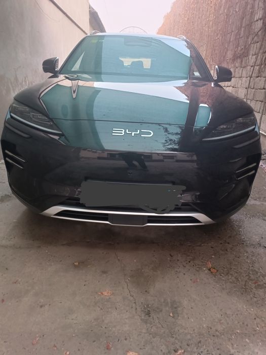 BYD Champion smart 2025