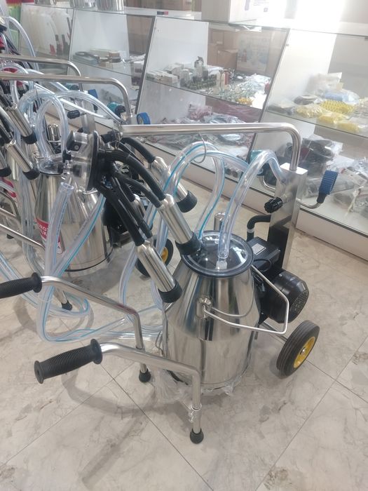 Sigir sogadigan apparat