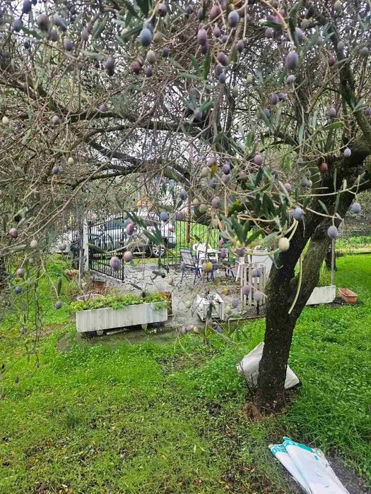 Парцел в централната част на Аспровалта!