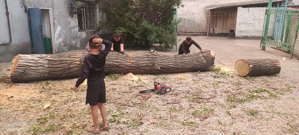 Дрова бесплатно самовывоз