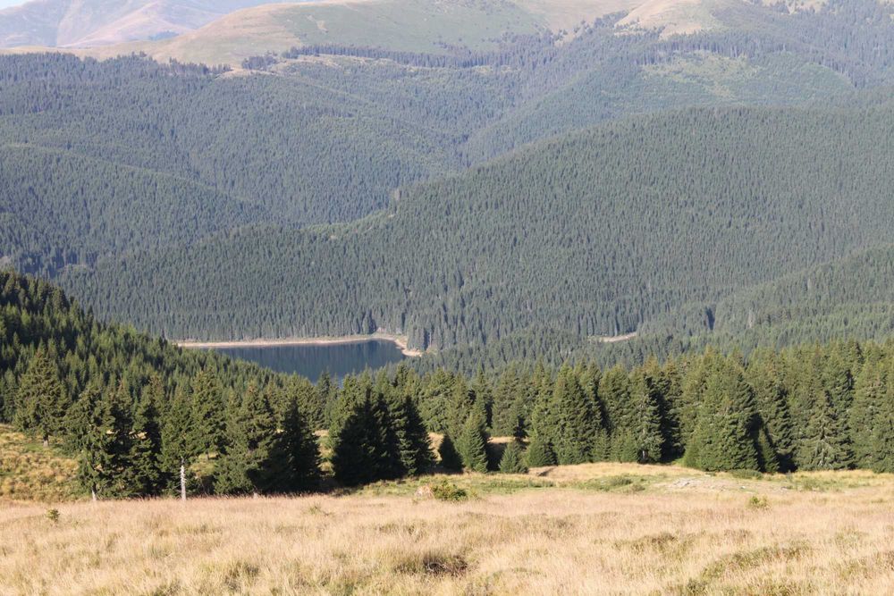 Teren vanzare 25 hectare