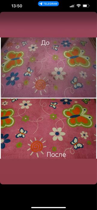 Top clean химчистка ковров и ковролина на месте