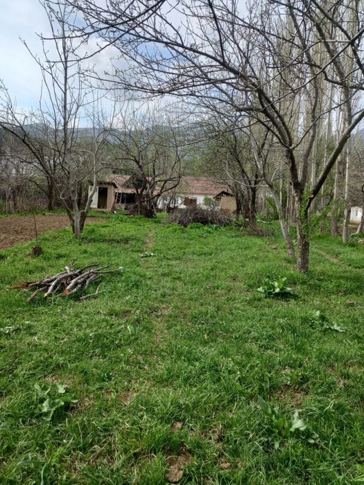 Уй сотилади Така-Янгок кишлогида Нефрит томонда