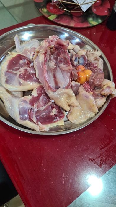 Curcani si pasari de vanzare cu livrare in București si ilfov si Giurg