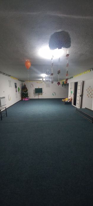 Детский Сад Ромашка 24/7 работает .