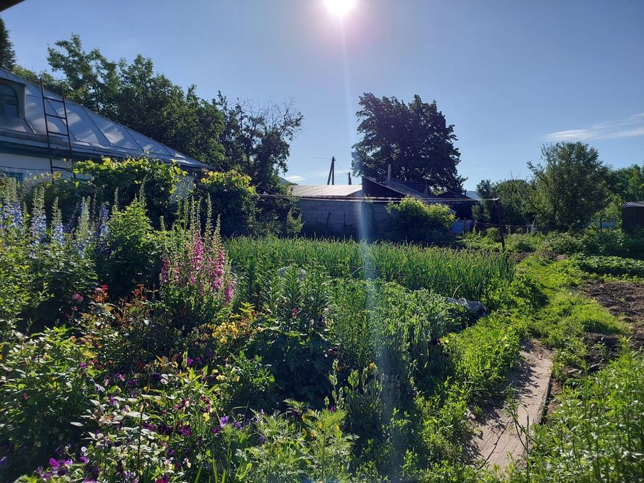 СРОЧНО продам дом.