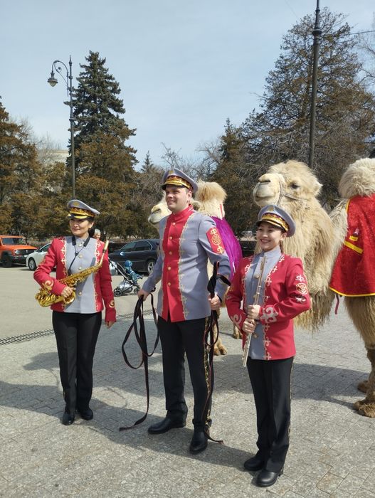 Прокат верблюдами и лошадей