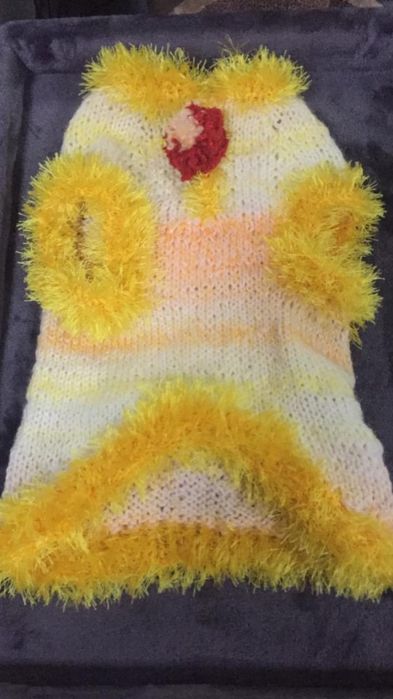 Одежда для кошек и собак