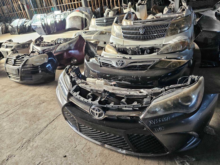 Ноускат миниморда