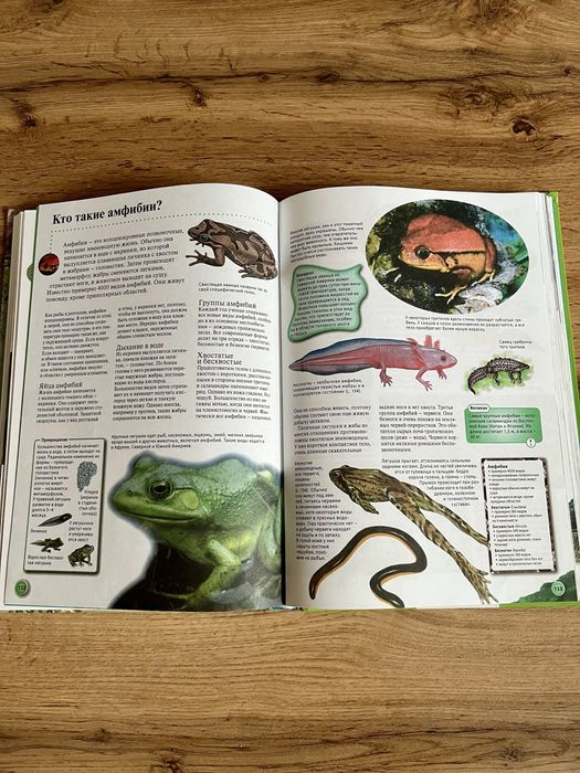 Книги энциклопедия и арифметика