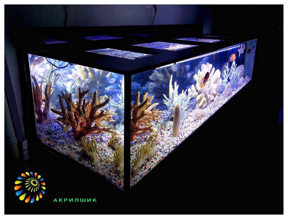 Аквариум  из акрила