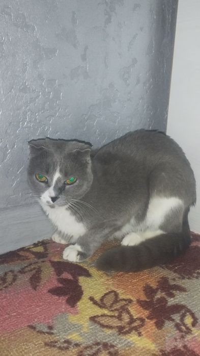 aniq olaman deganlar tel qilsin