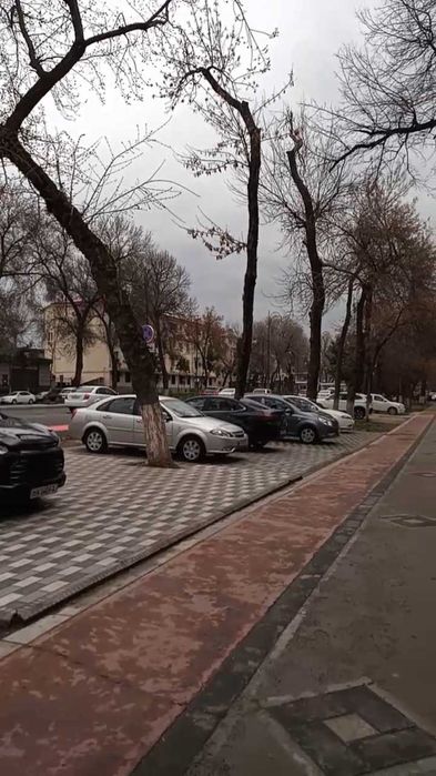 Аренда – магазин, аптека, кафе, салон, офис, 1я линия вдоль главной